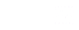 logo preview