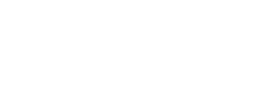 logo preview