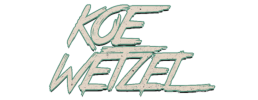 logo preview