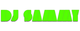logo preview