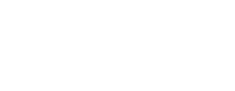 logo preview