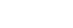 logo preview