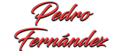 logo preview