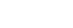 logo preview