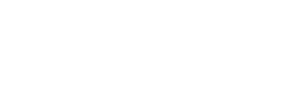 logo preview