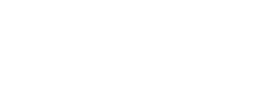 logo preview