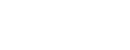 logo preview