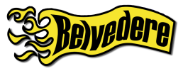logo preview