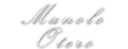 logo preview