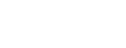 logo preview