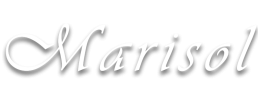 logo preview