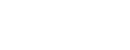 logo preview
