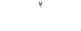 logo preview