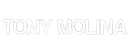 logo preview