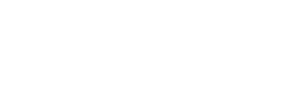 logo preview