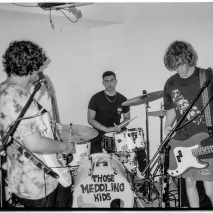 The Ends | TheAudioDB.com