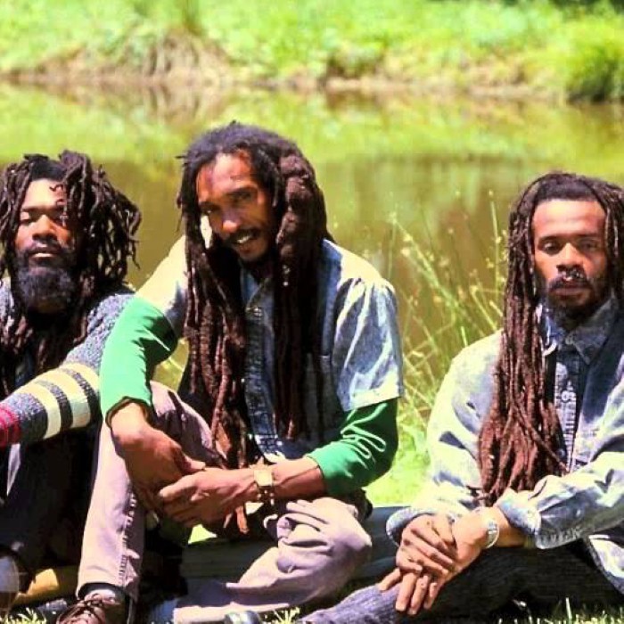 Israel Vibration | TheAudioDB.com